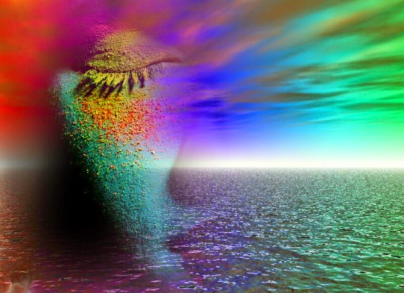 5 Daily Choices for Conscious Creation Conscious Creation