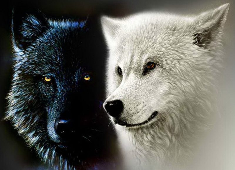 Shamanic Shadow Integration Work (shamanic shadow work) Shamanic Shadow Integration Work (Shadow Self - Embracing Your Inner Darkness)